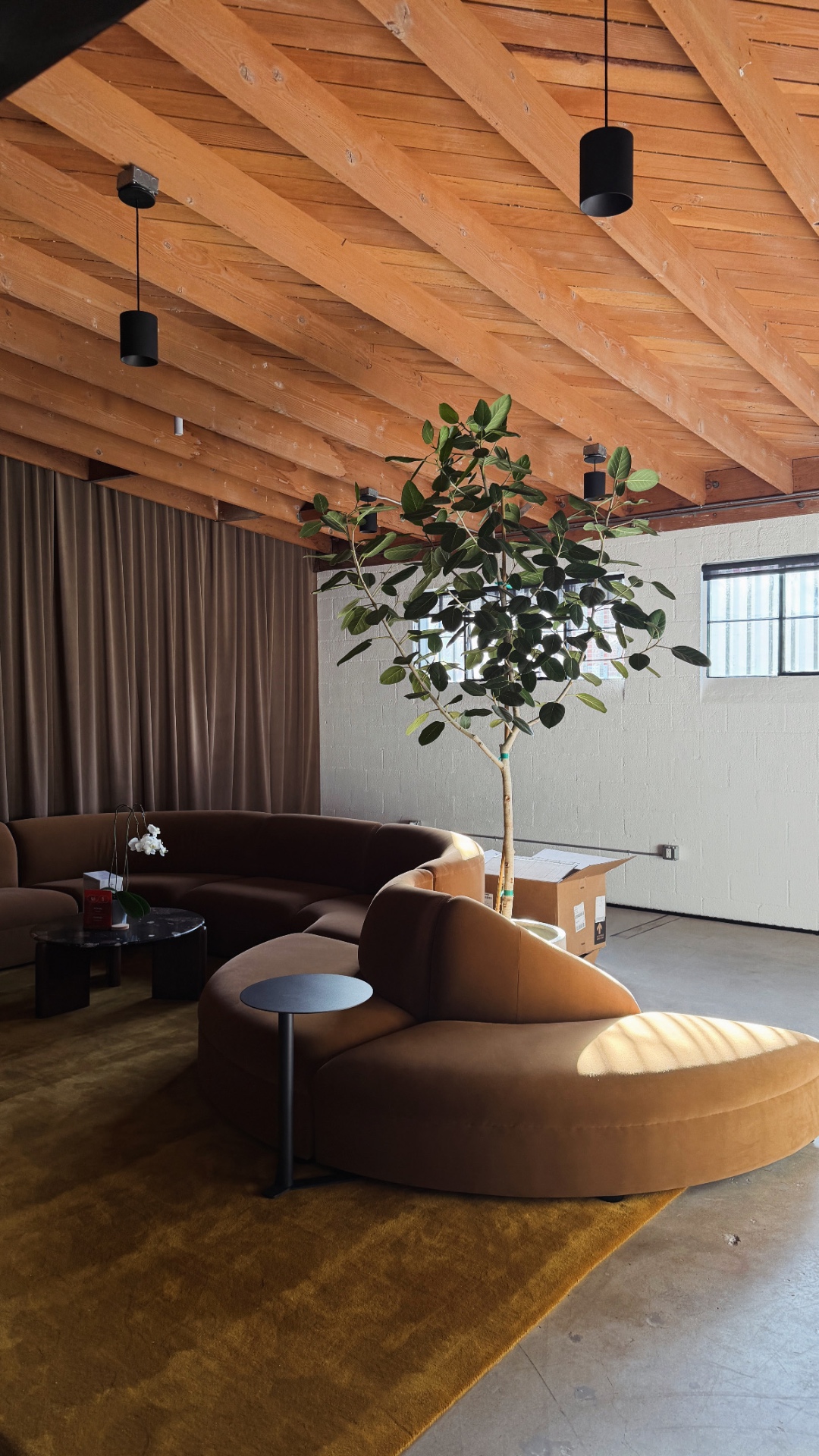 Intro office lounge with curved brown sofa under exposed timber ceiling