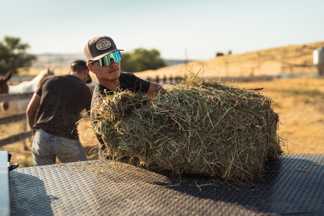Hauling hay on the ranch